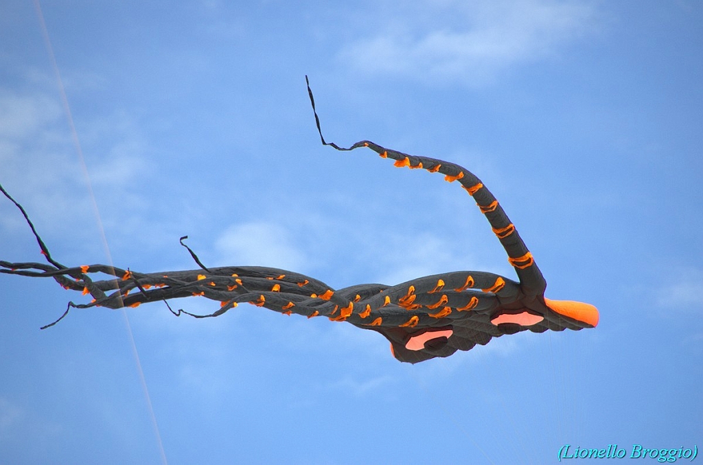 RIMINI 2012 - 223.jpg
